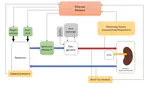 A fully automated normothermic machine perfusion system for kidney grafts supporting physiological motivated flow profiles